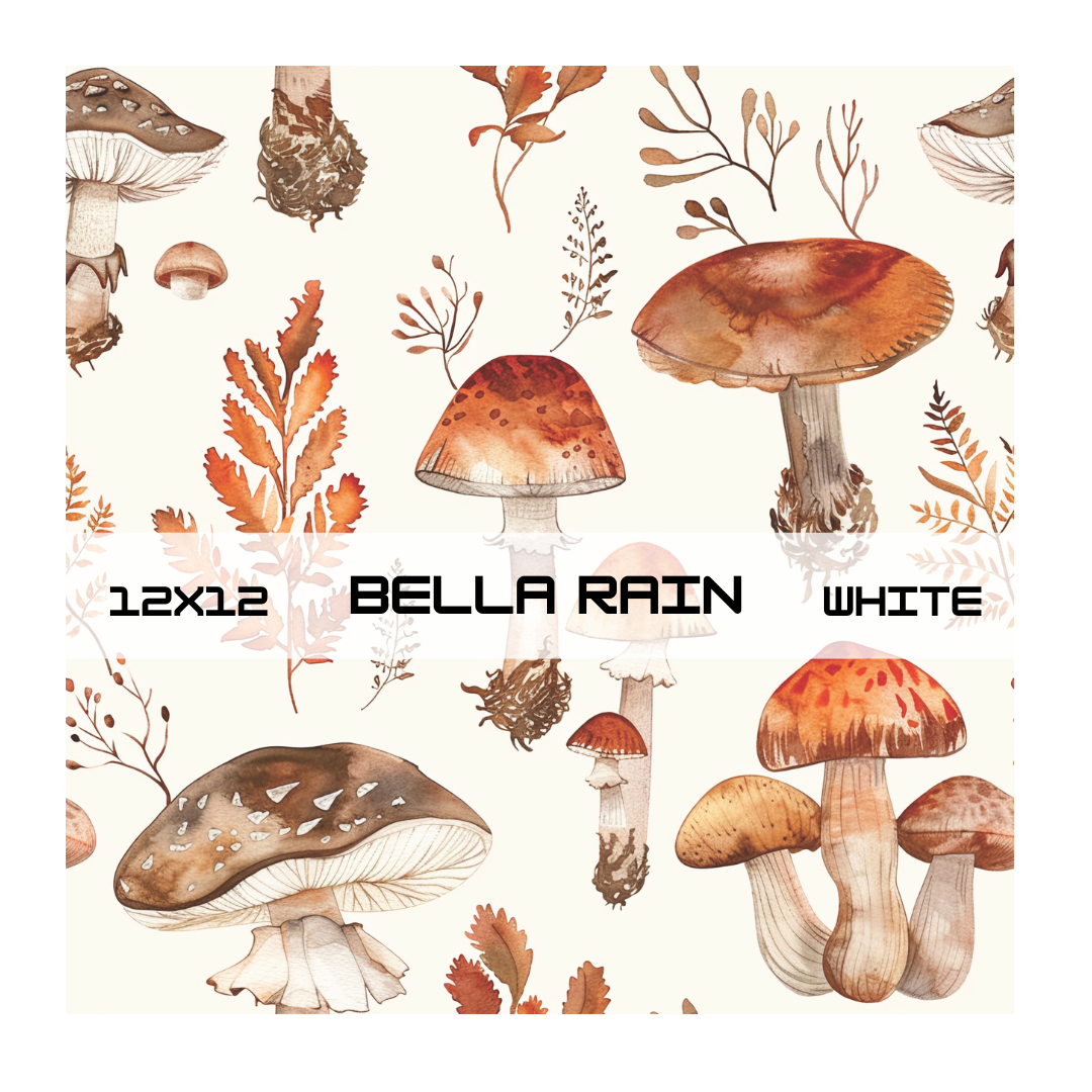 HELLO AUTUMN COLLECTION